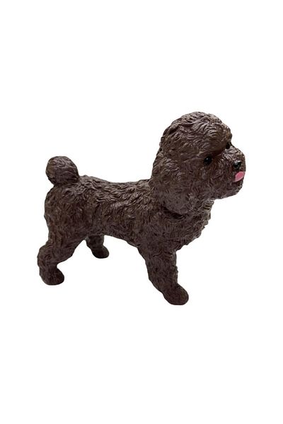 RUBY BOUTİQUE Dogs - Poodle Breed Dog