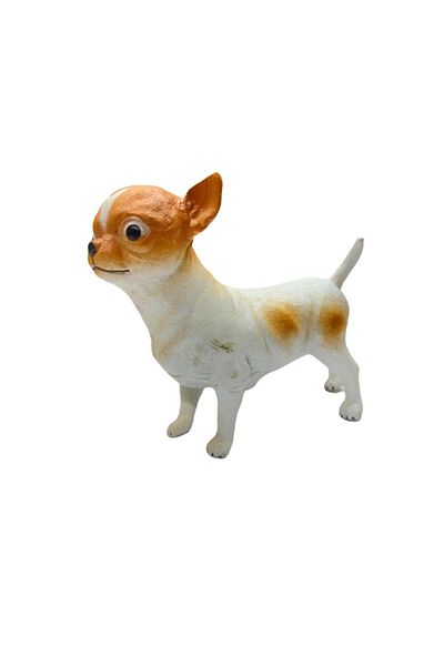 noirsecret Dogs - Chihuahua / Chihuahua Breed Dog