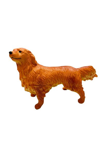 MarDyHome Collie Breed Dogs