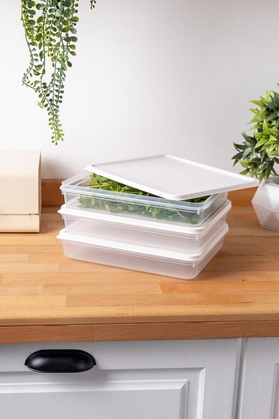 FH finehome Buzzy 3-Piece Refrigerator & Freezer Storage Container 2600ml