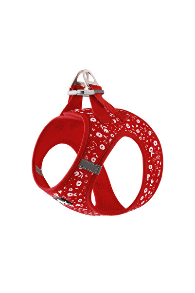 True Love Blossom Step-In Mavi Köpek Göğüs Tasması