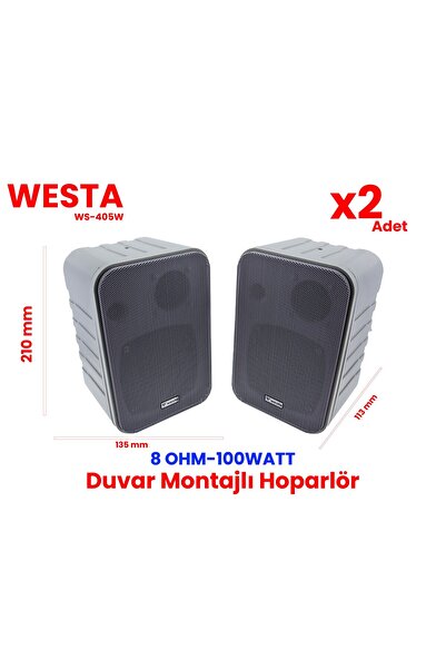 Westa WS-405W Duvar Tipi Hoparlör - 100W, 91dB Hassasiyet, 80-16kHz Frekans A...