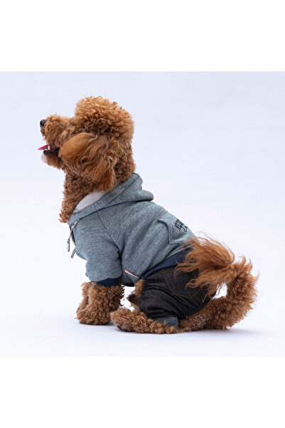 Pawstar New York Kedi Köpek Kot Tulum