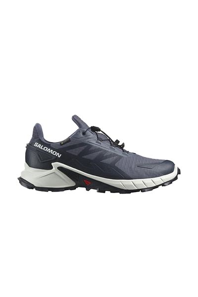 Salomon Men's Running & Training Shoes Gray L 47462300