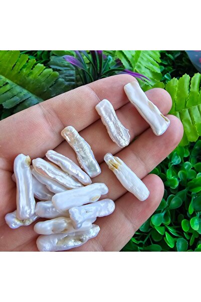 TAŞ UZMANI عصا اللؤلؤ الطبيعي - 10x25 ملم