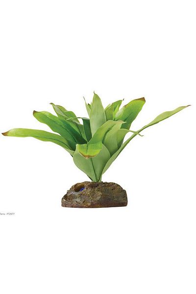 Hagen Plastic Plant for Exo Terra Terrarium Hnzrn