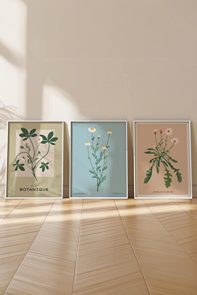 Postifull Çerçeveli Tablo Seti, 3 Adet Beyaz Çerçeve ve Minimalist Çiçekler Temalı Poster Seti, No:300484