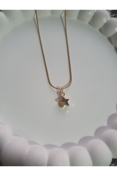 BS JEWELRY Star Mini Steel Necklace