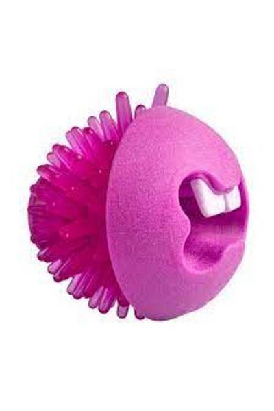 Rogz Treat Fred Treat Ball Fr02 Medium Pink