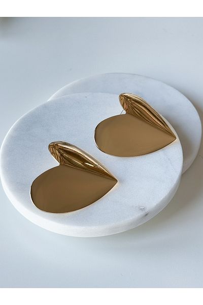 CHARMLUCKY Steel Large Heart Plate Earrings