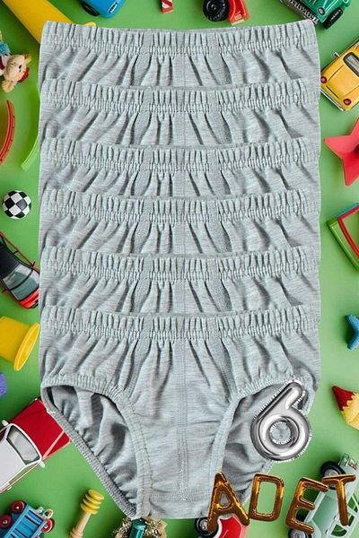 Tezzgelsin Boy's Cotton Slip Panties 6 Pack
