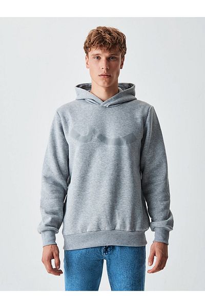 Ltb Logo Hooded Gray Sweatshirt
