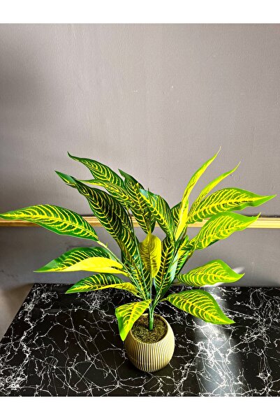 ledison Yapay Kraton Petra Bitkisi 70 cm