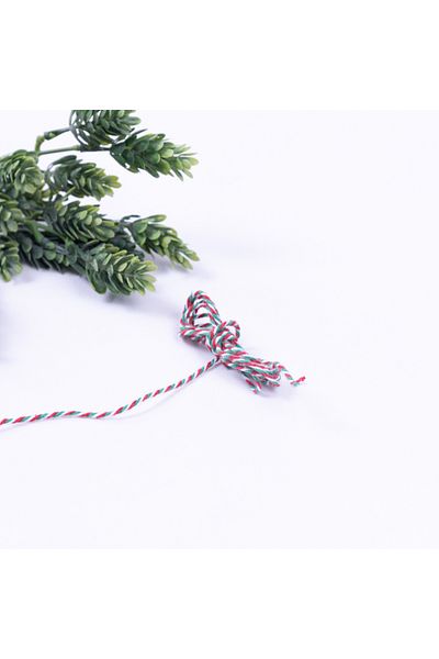 Bimotif Package string, red-green-white 25 meters
