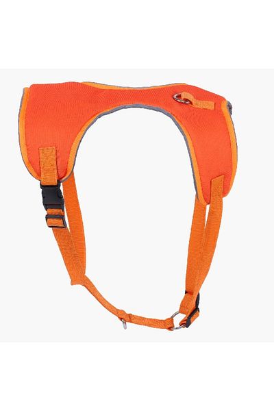 Home Box Canine Glow-in-the-Dark Pet Harness - Large