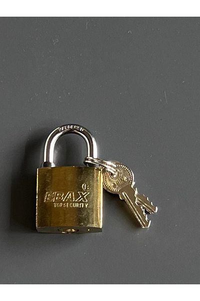 Ebax Yellow Hasp Lock 32mm