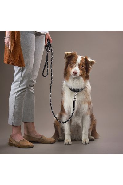 Home Box Canine Rope Pet Leash