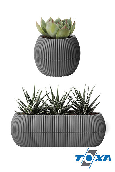 ToXA 4 Parça Antrasit Gri Mercan Saksı Seti Kaktüs Sukulent Saksısı Dekoratif Plastik Saksı Seti