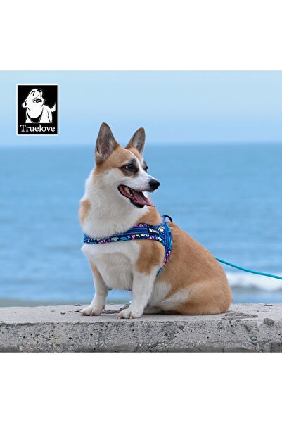 True Love Ocean Mavi Köpek Göğüs Tasması