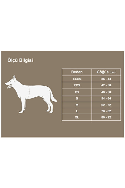 True Love Ocean Mavi Köpek Göğüs Tasması