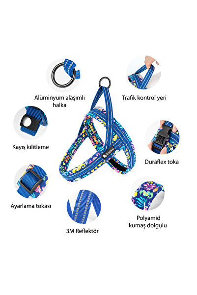 True Love Ocean Mavi Köpek Göğüs Tasması