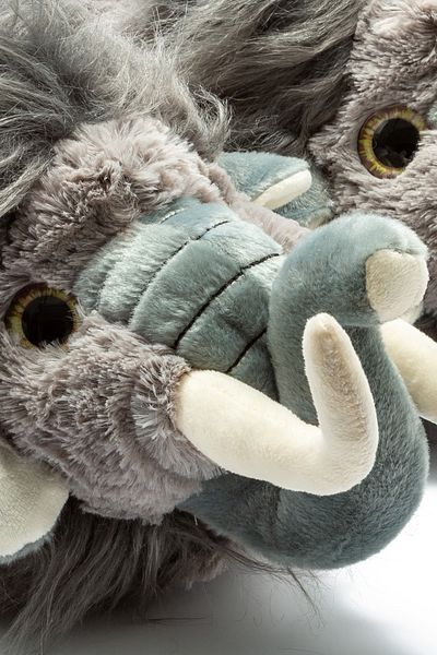 Twigy Παντόφλες Unisex Animal Mammoth Γκρι 39/43