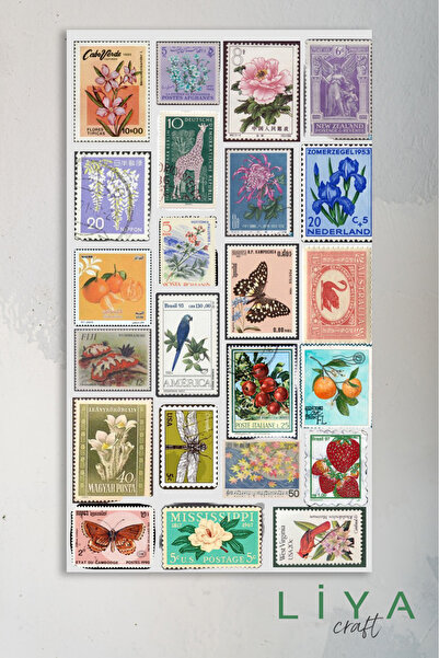 LiyaCraft Pul Temalı Sticker Planner Ajanda Bullet Journal Için Uygun Set