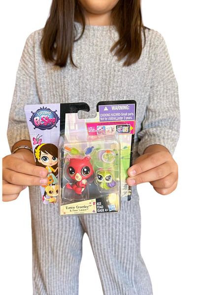 Minişler Pet Shop Pet Shop Minis - 2 Pieces with Accessories, Cheerful Toy Family, 04 Model