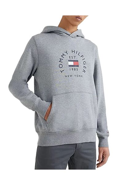 Tommy Hilfiger Tommy Hilfiger Men's Sweatshirt Mw0mw27842-zn2