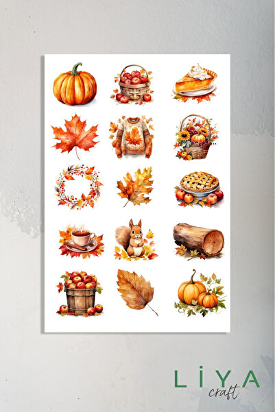 LiyaCraft Autumn Temalı Sticker Planner Ajanda Bullet Journal Için Uygun Set