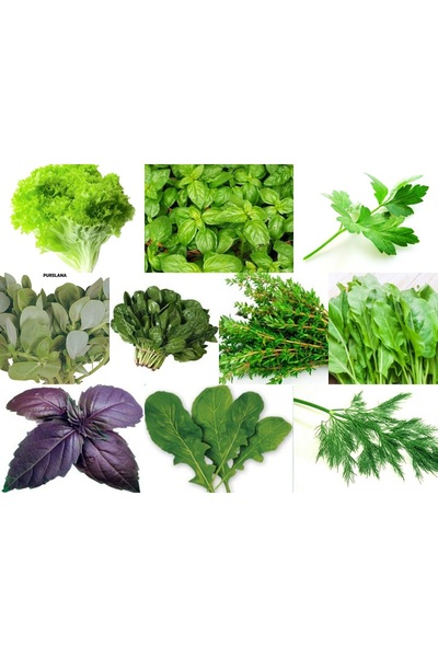 Karahasanoğlu Tarım YERLİ 10 ÇEŞİT YEŞİLLİK TOHUM SETİ-1 ORT 3600 AD+GÜBRE