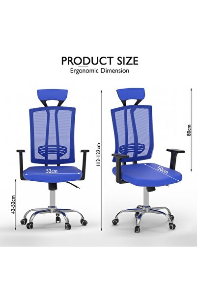 Mahmayi Ergonomic Adjustable Office Chair - Lumbar Support, Recliner, Mesh Back, Blue Executive