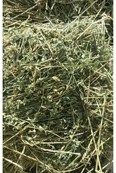 Güven Yem Kuru Yonca Kemirgen Otu 1 Kg Bol Çiçekli
