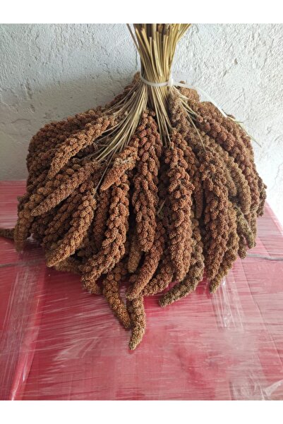 Sevinç Pet Doğal Kızıl Dal Darı 500 gr