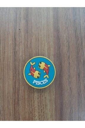 pisces jibbitz