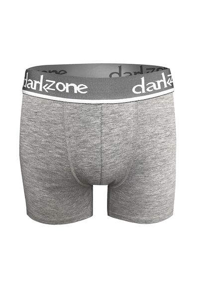 darkzone Dzn2703 Γκρι Ανδρικό Μπόξερ