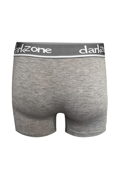 darkzone Dzn2703 Γκρι Ανδρικό Μπόξερ