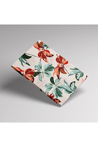 HOMEPACK Canvas Wall Painting Set of 3 Canvas Paintings Hp107