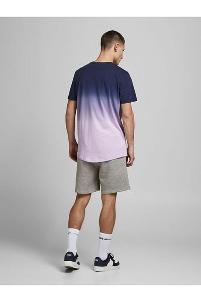 Jack & Jones Men's Gray Jjnewsoft Shorts 12186787