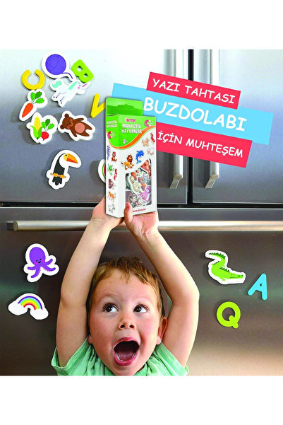 Diytoy Manyetik Hayvanlar
