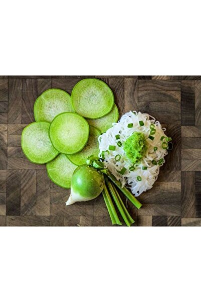Tohum Dünyam 20 Adet Japon Wasabi Turpu Tohumu