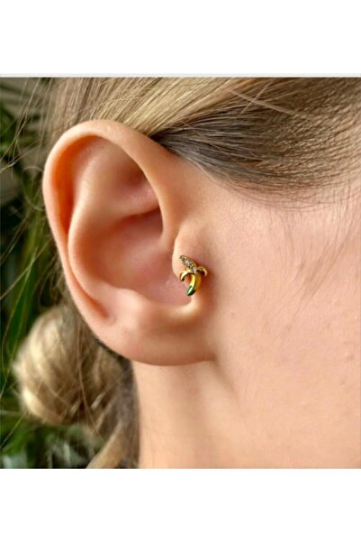 Araz piercing Kıkırdak Ve Tragus Piercingi