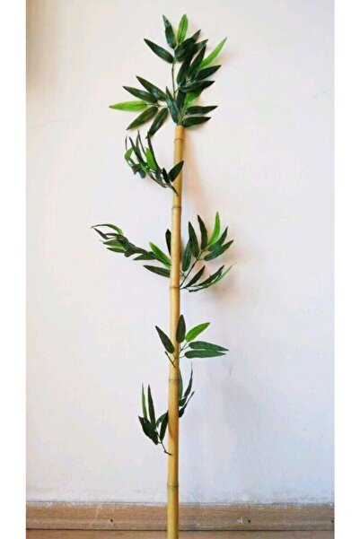 YEŞİLADA Bambu Ağaç Çubuk 1 Metre Boyunda Orjinal Bamboo