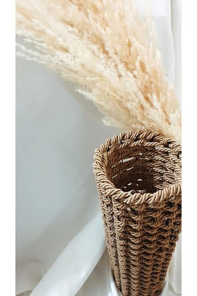 Egindra 50 cm Gold Colored Metal Wire Pampas Vase - Rope Braided, Special Design