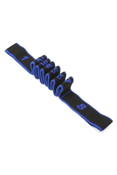 TechnoSmart Blue Resistance Band with 8 Different Levels Sports Exercise Aerobics Pilates Squat Tire Fitness Yoga