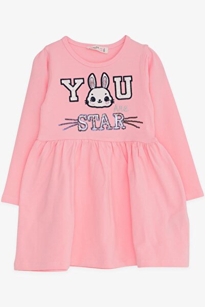 Breeze Kız Çocuk Uzun Kollu Elbise Tavşan Nakışlı 2-6 Yaş, Pudra