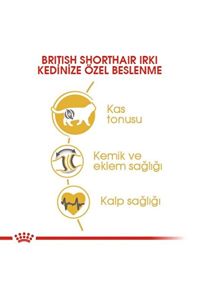 Royal Canin British Shorthair Adult Kedi Kuru Maması 2 Kg