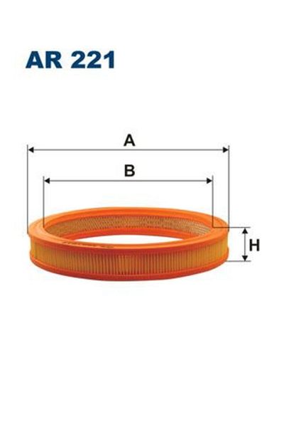 Filtron Ford Air Filter