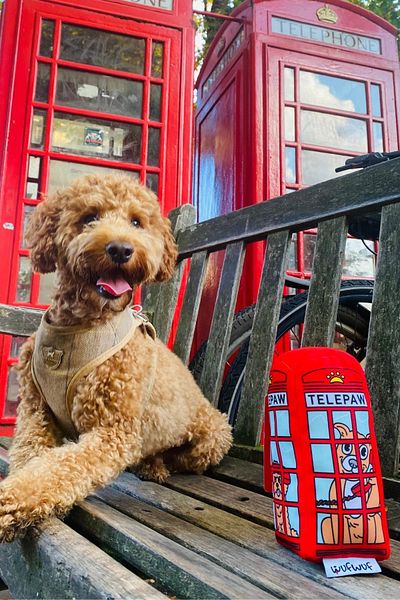 Havhav Plush Telephone Booth Vikvik Plush Dog Toy with Voice London Themed Dog Toys