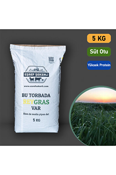 EŞREF ŞEKERLİ Rye Grass, Reygras Otu, Italyan Çimi (süt Otu) Tohumu 5 Kg